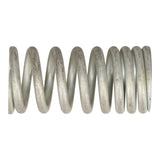 Valve Spring