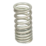 Valve Spring