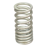 Valve Spring