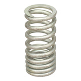 Valve Spring
