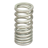 Valve Spring