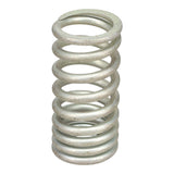 Valve Spring