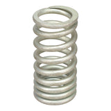 Valve Spring
