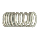 Valve Spring