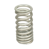 Valve Spring