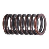 Valve Spring