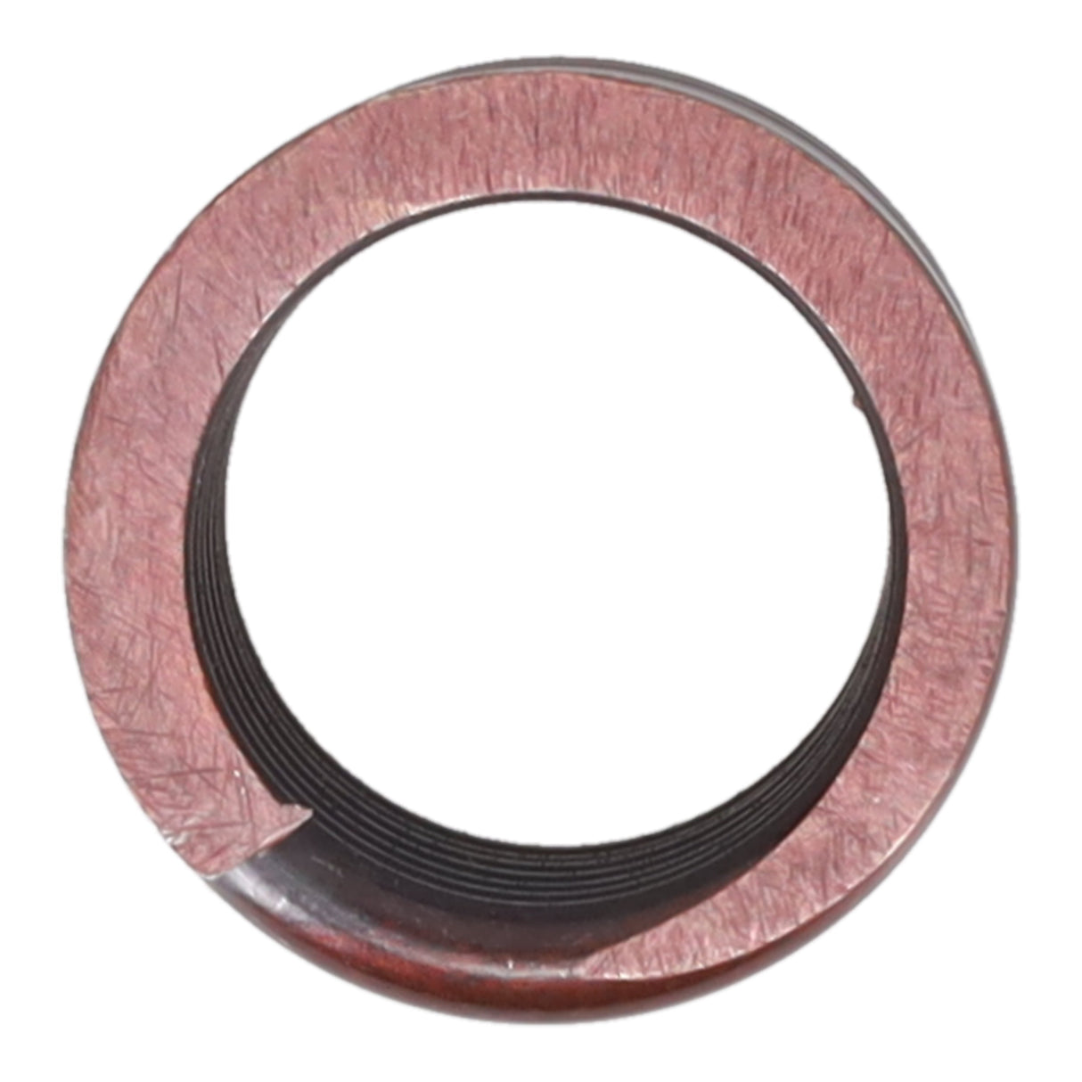 Valve Spring