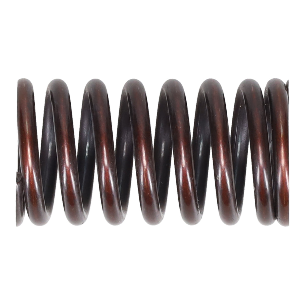 Valve Spring