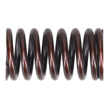 Valve Spring