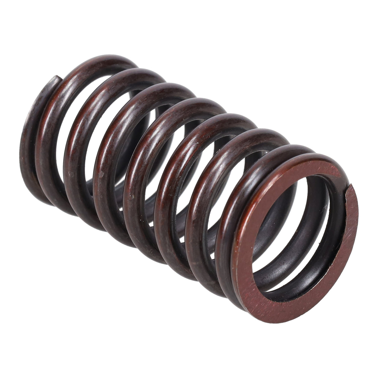 Valve Spring