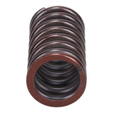 Valve Spring