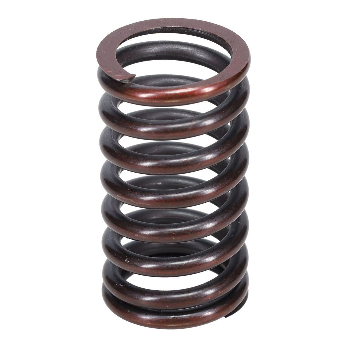 Valve Spring