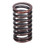 Valve Spring
