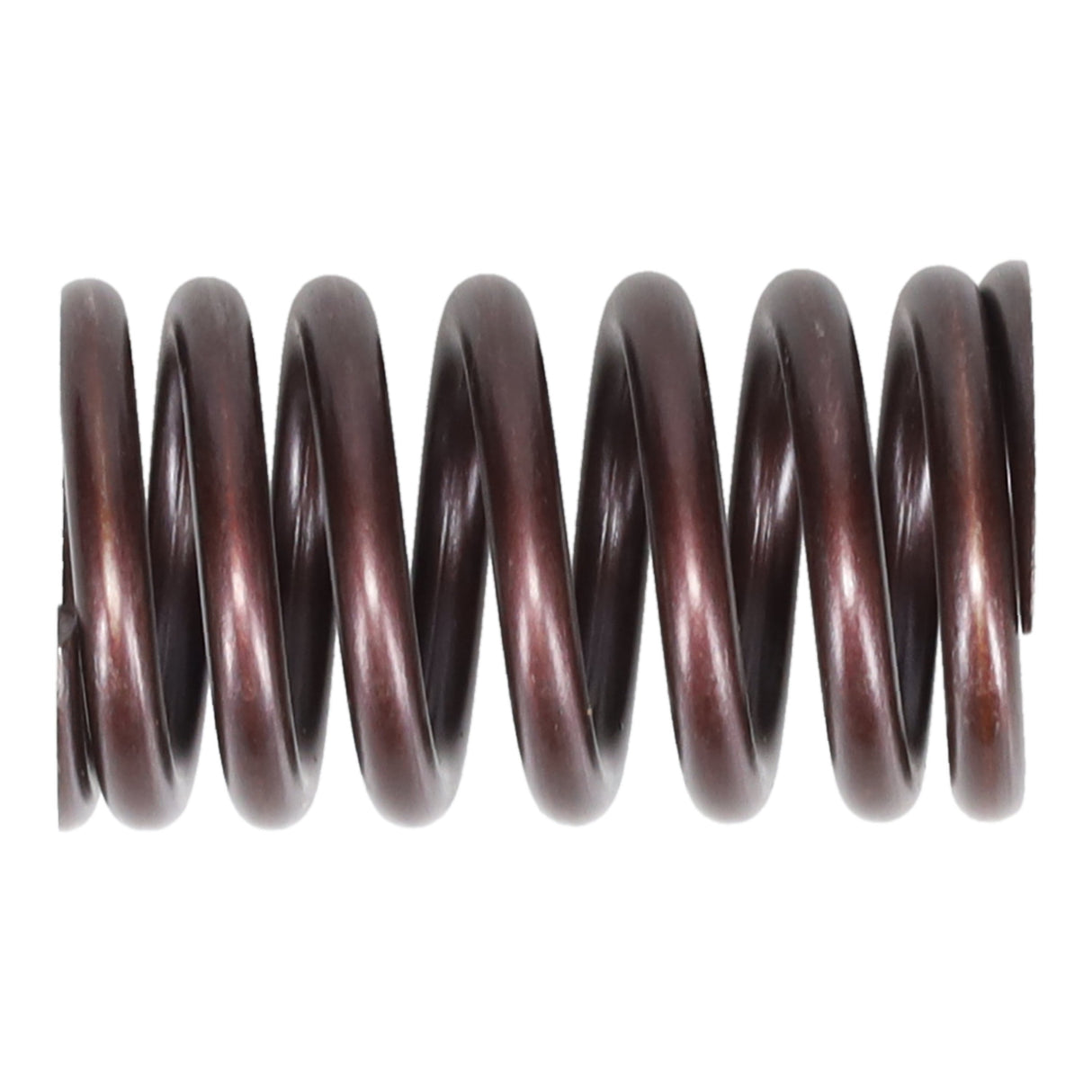 Valve Spring
