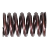 Valve Spring