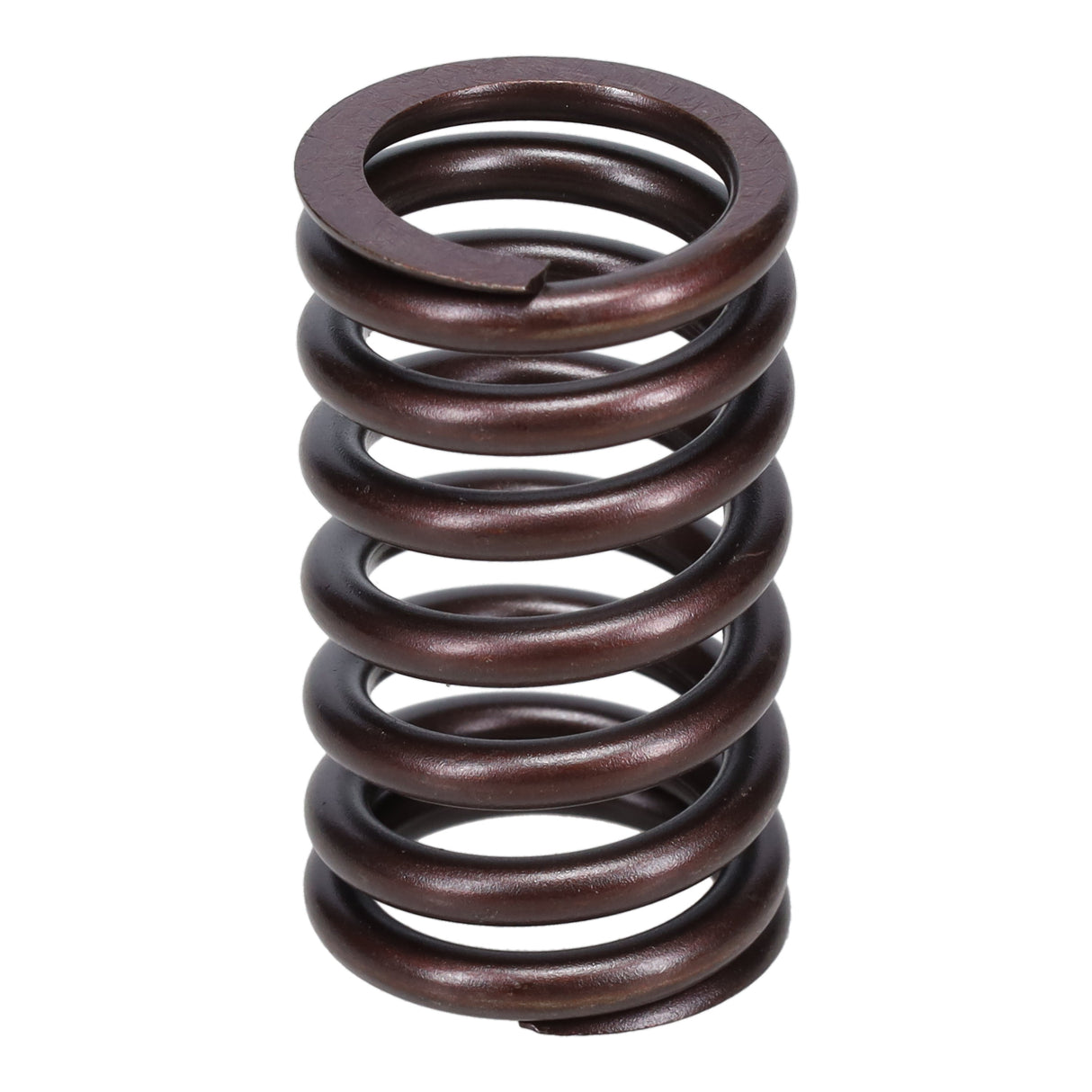 Valve Spring