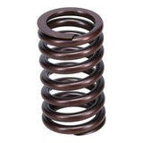 Valve Spring