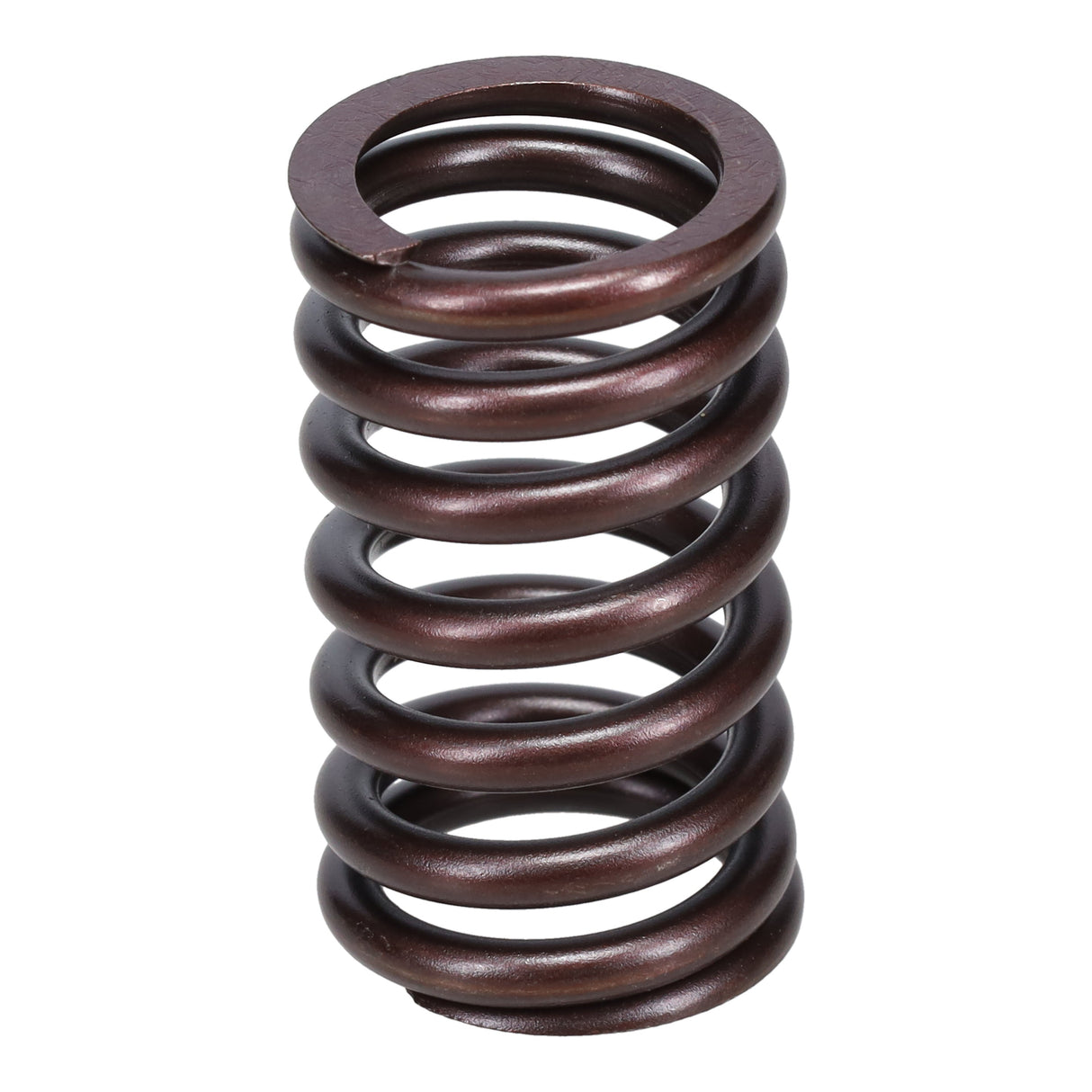 Valve Spring