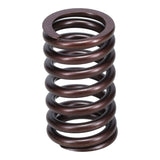 Valve Spring