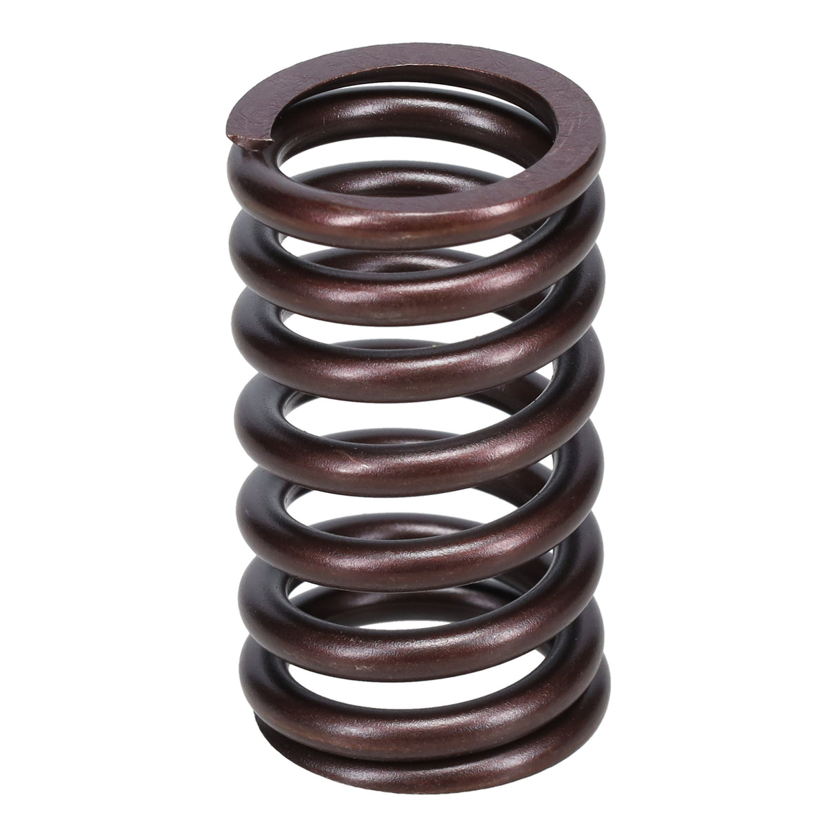 Valve Spring