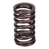 Valve Spring