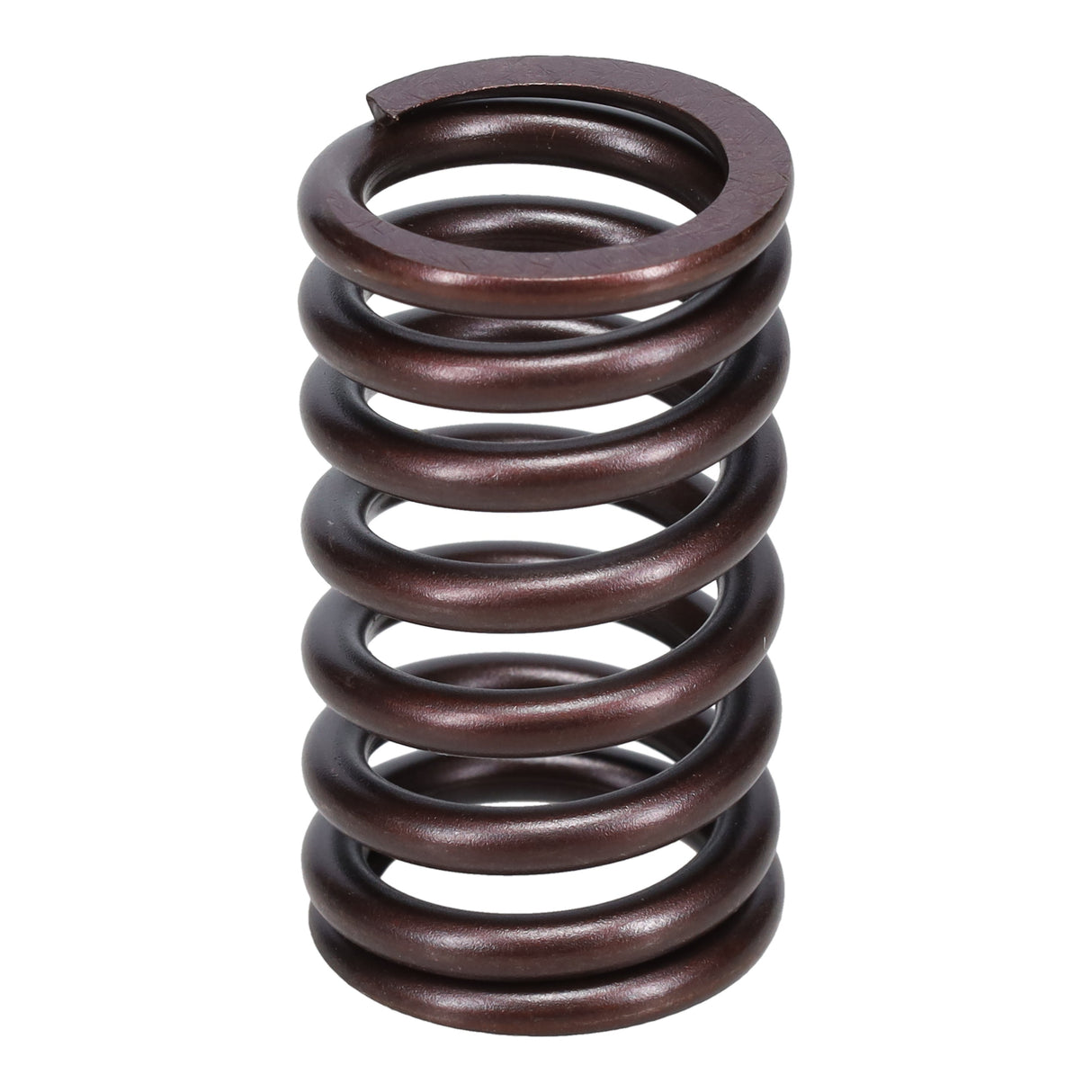 Valve Spring