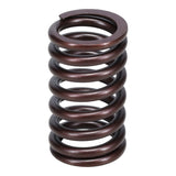 Valve Spring