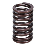 Valve Spring