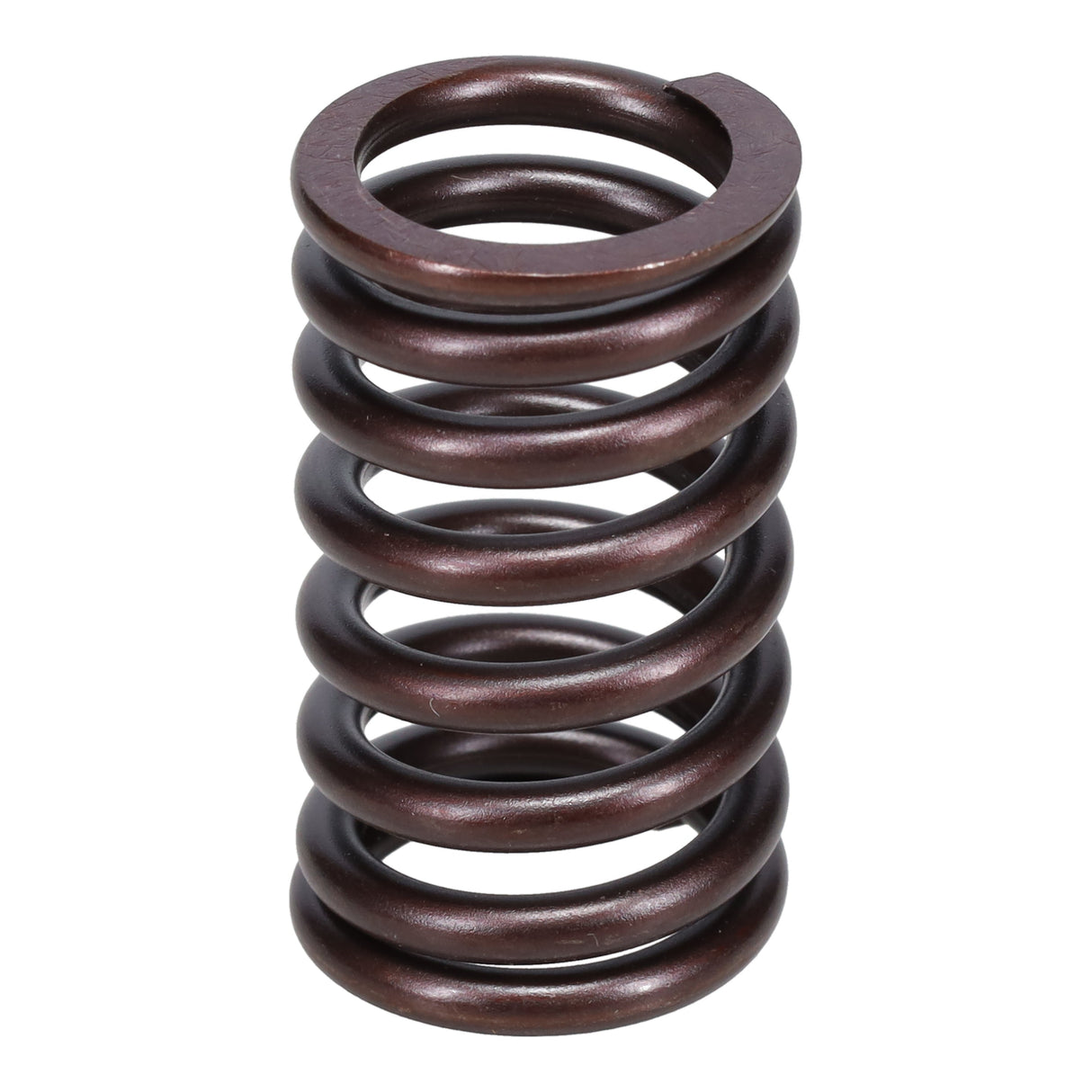 Valve Spring