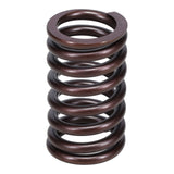 Valve Spring