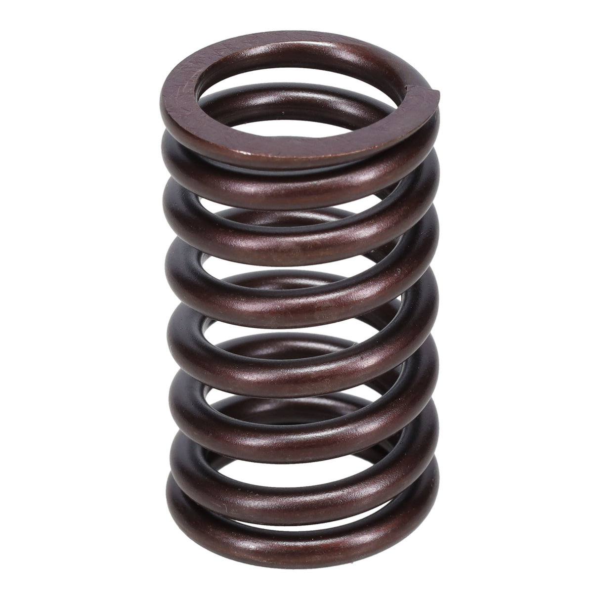 Valve Spring