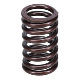 Valve Spring