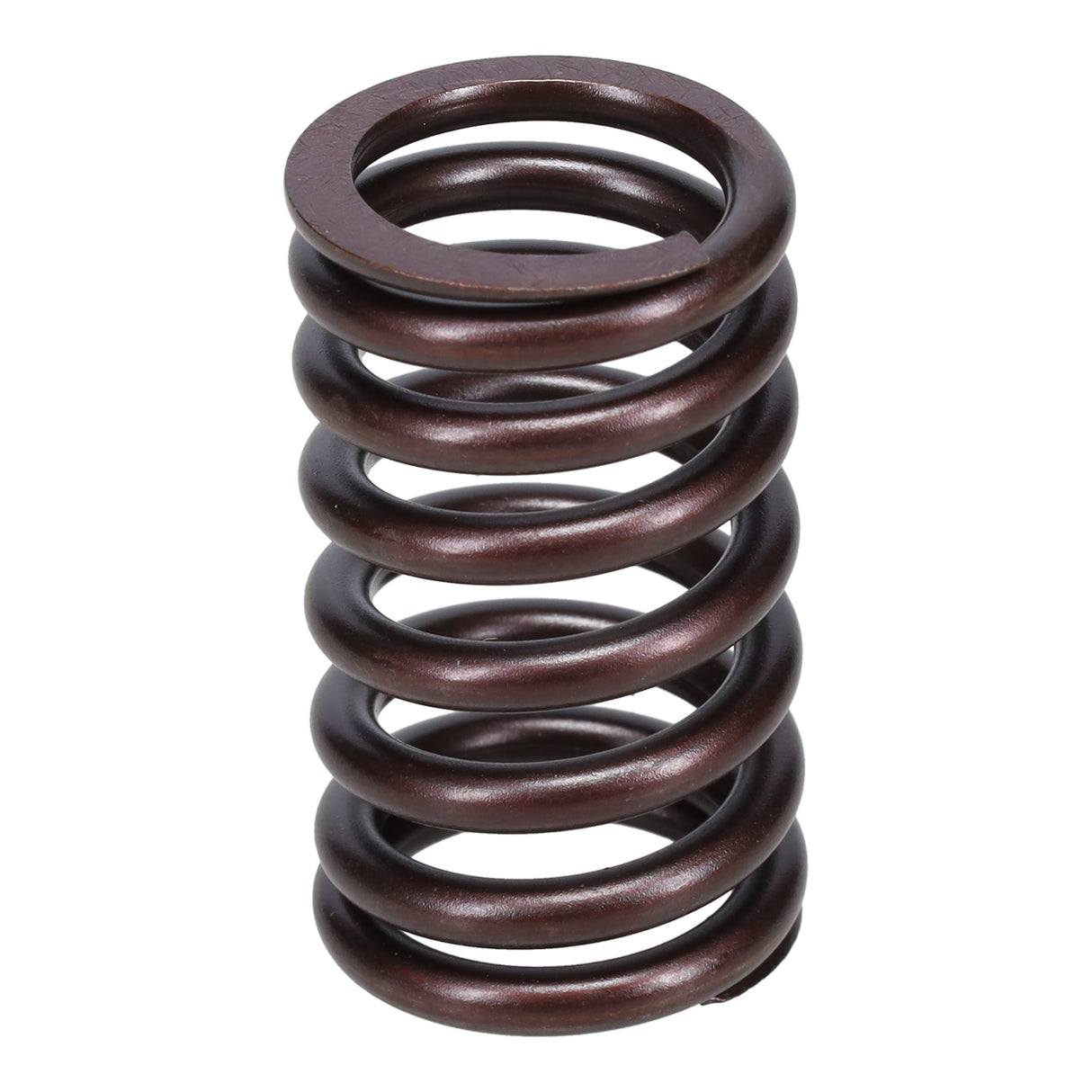 Valve Spring