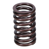 Valve Spring