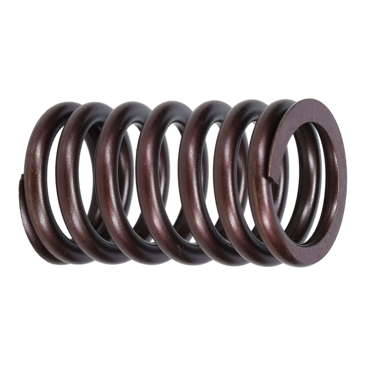Valve Spring