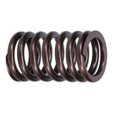 Valve Spring