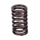 Valve Spring