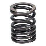 Valve Spring