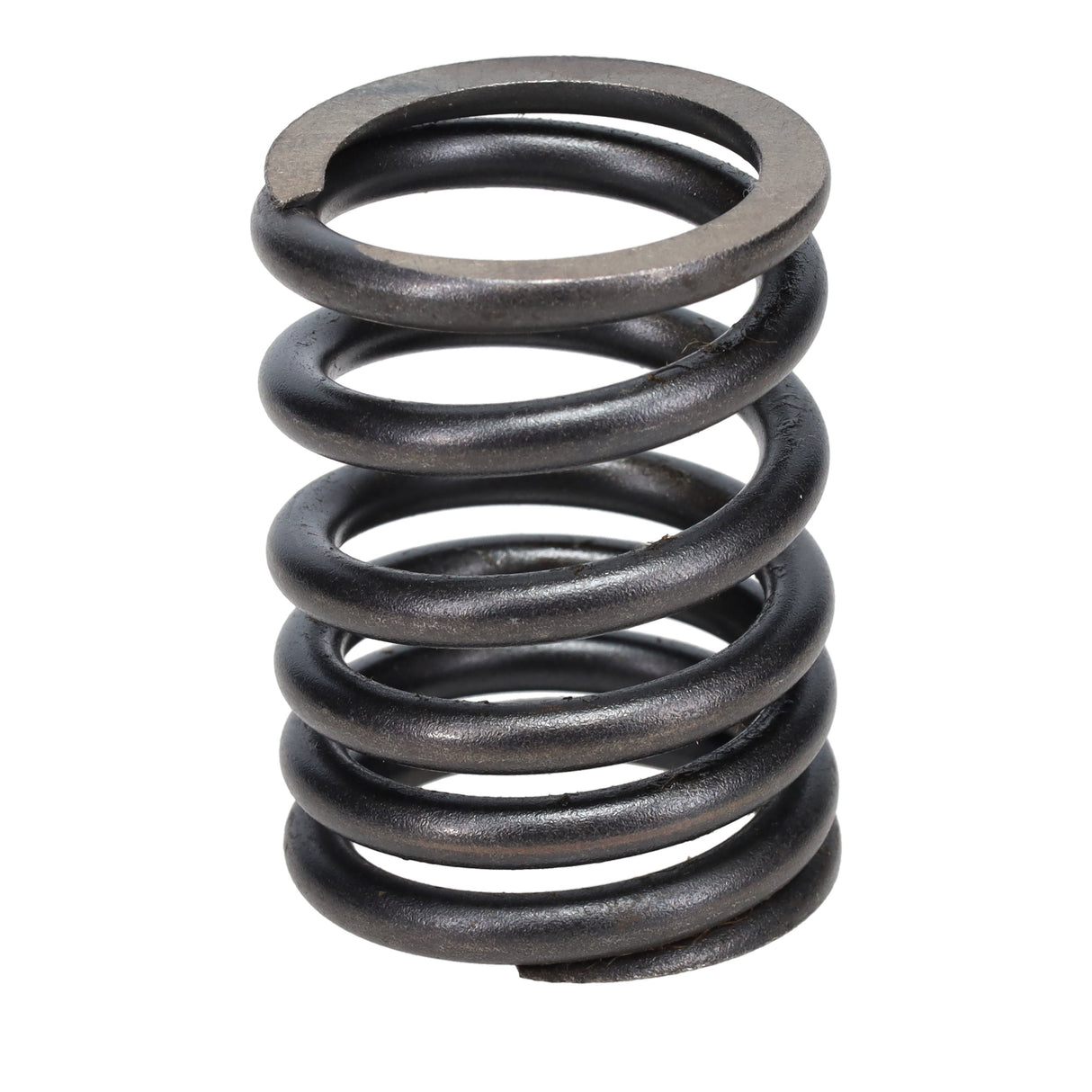Valve Spring