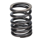 Valve Spring
