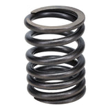 Valve Spring