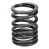 Valve Spring