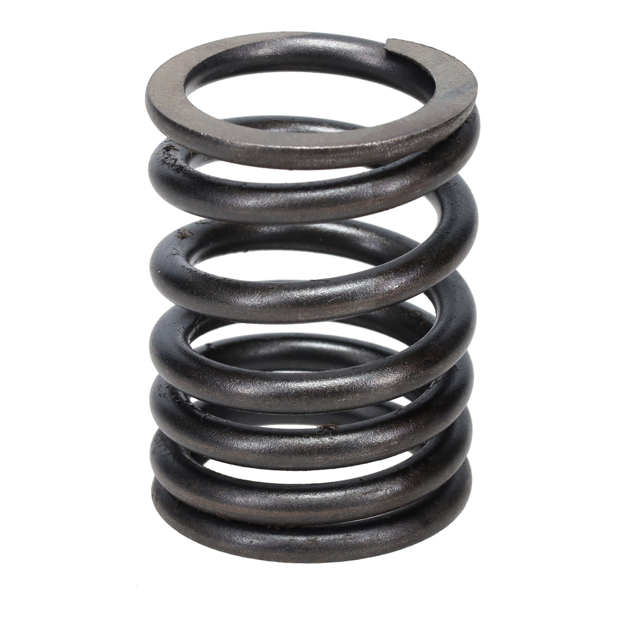Valve Spring