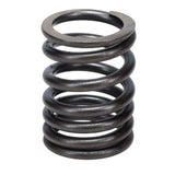 Valve Spring