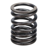 Valve Spring