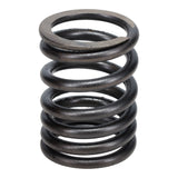 Valve Spring