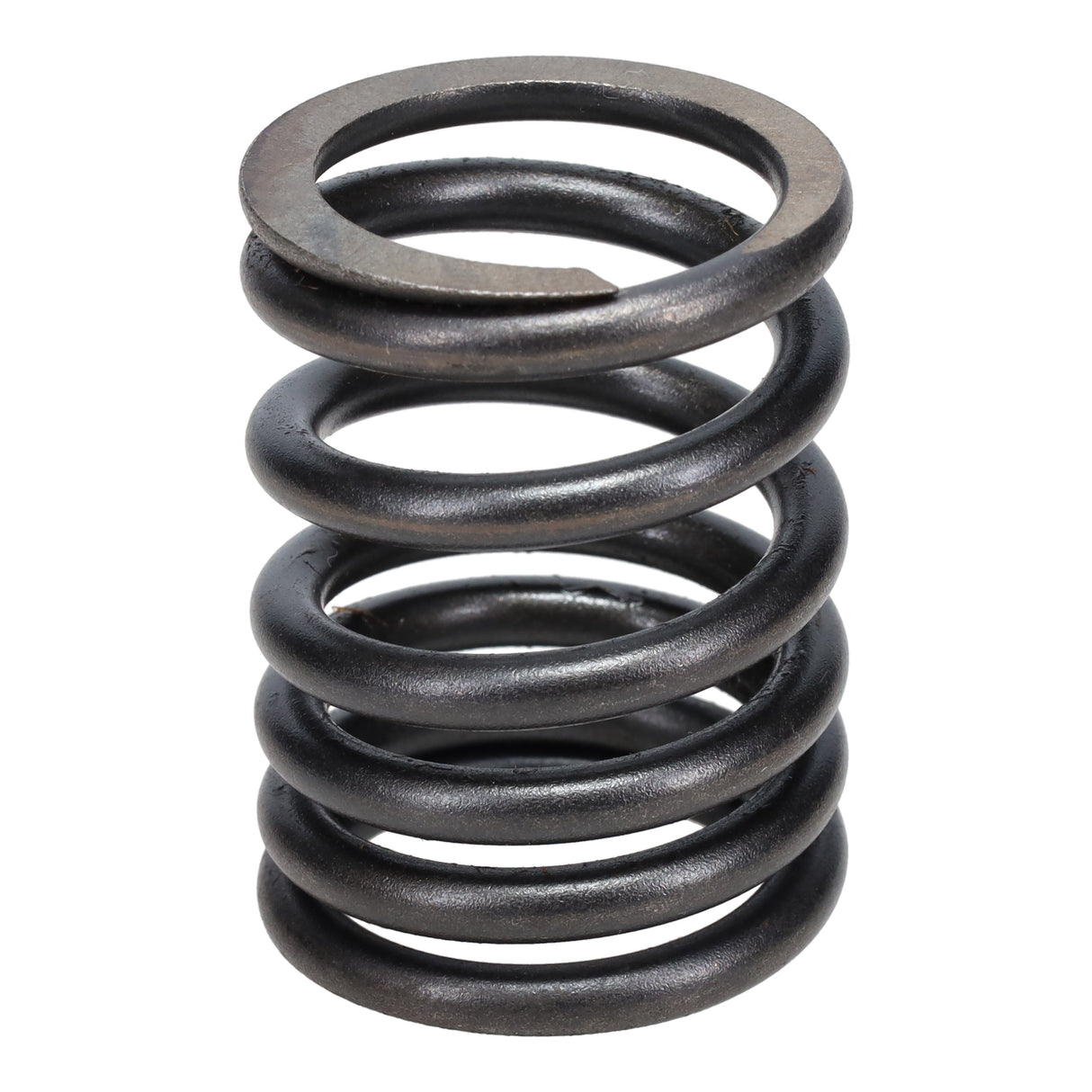 Valve Spring