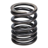 Valve Spring