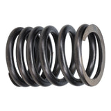 Valve Spring