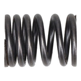 Valve Spring